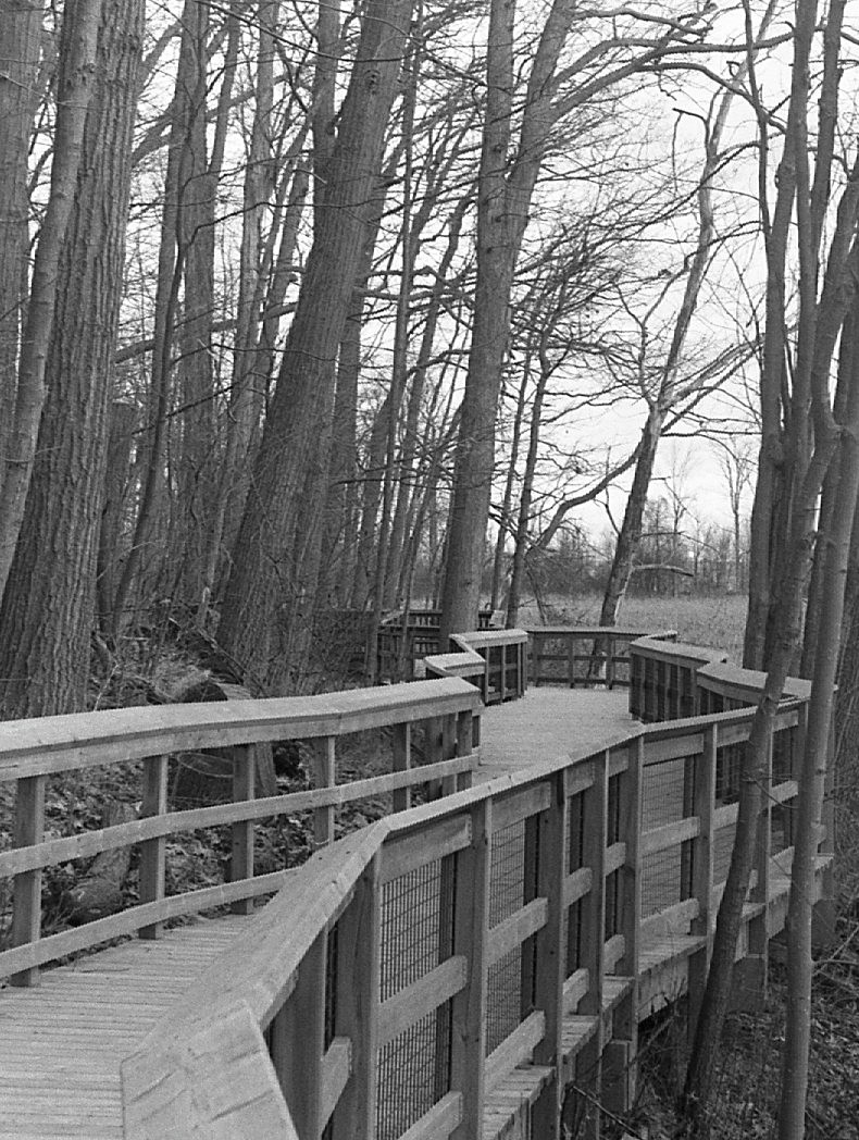 Mark Wilson tweet media