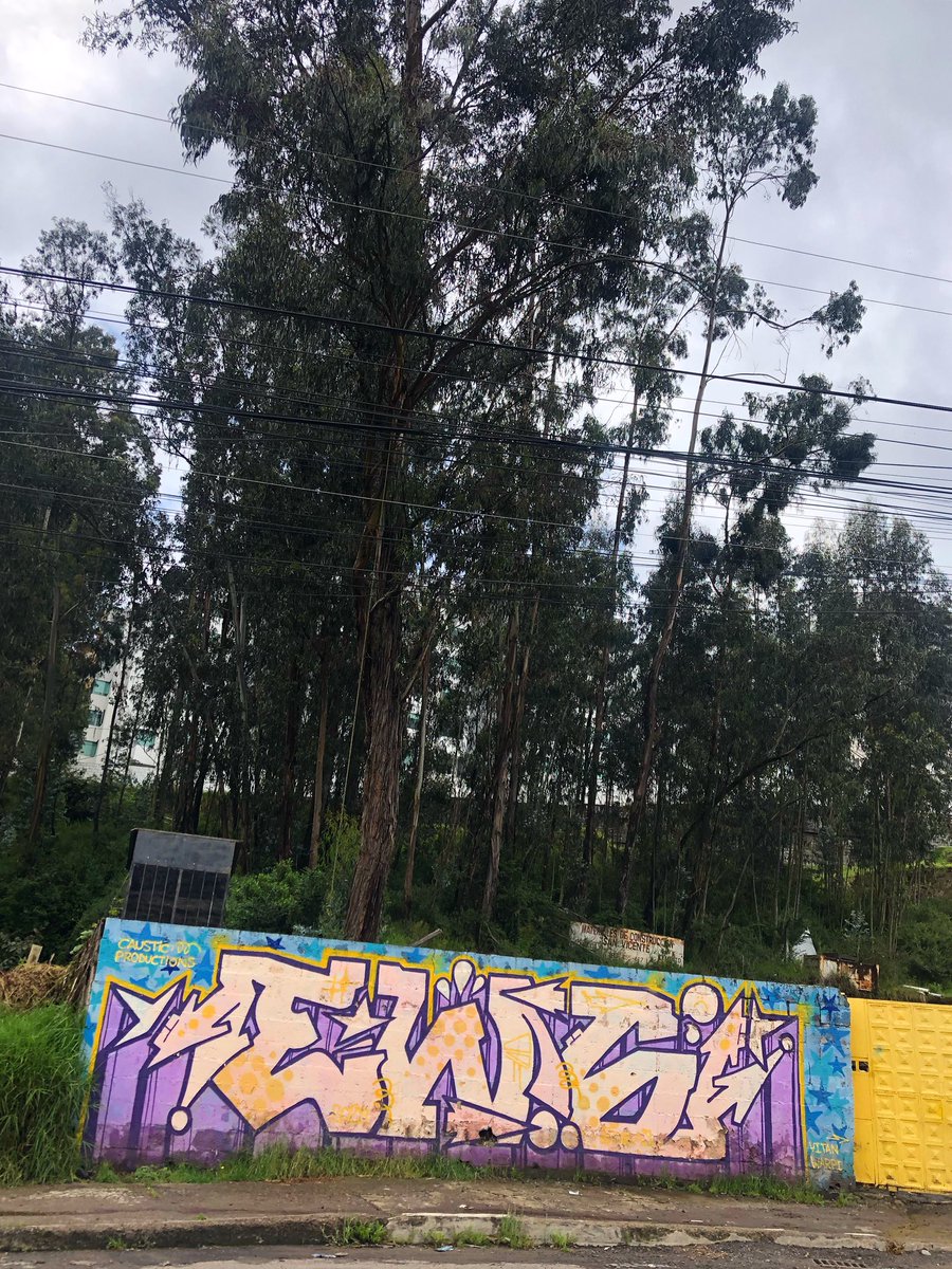 ECStreetGallery's tweet photo. ππ΄π₯
π£
.
.
#graffitiecuador #streetphotography #streetartecuador #graffitiquito #ecuadorgraffiti #grafffunk #graffitistyle #arteurbano #urbanart #graffitifiles #girlspower #quitocalle #postgraffiti #ElNuevoEcuadorNoSeDetiene #bombing π https://t.co/Kx7OkmDc8t