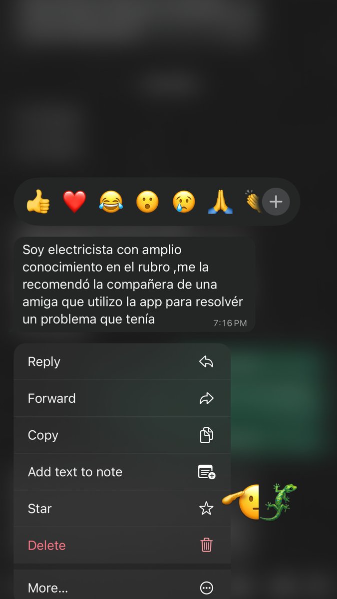 Matias Vallejos 🦎 tweet media