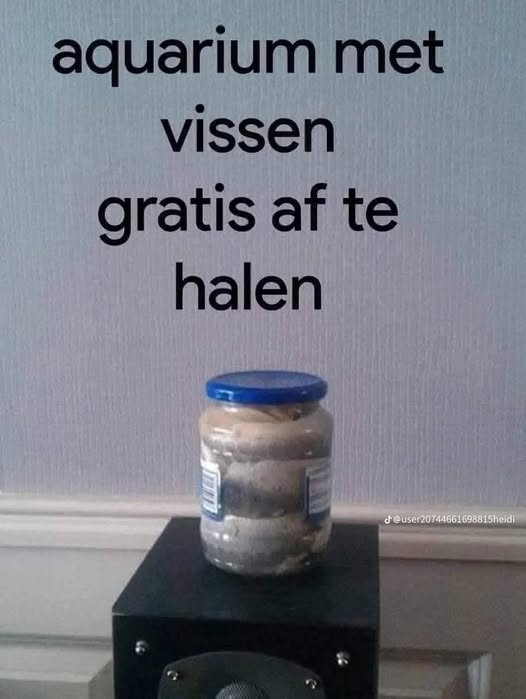 ❎Mαrco vαn dεr Vεldε❎ tweet media