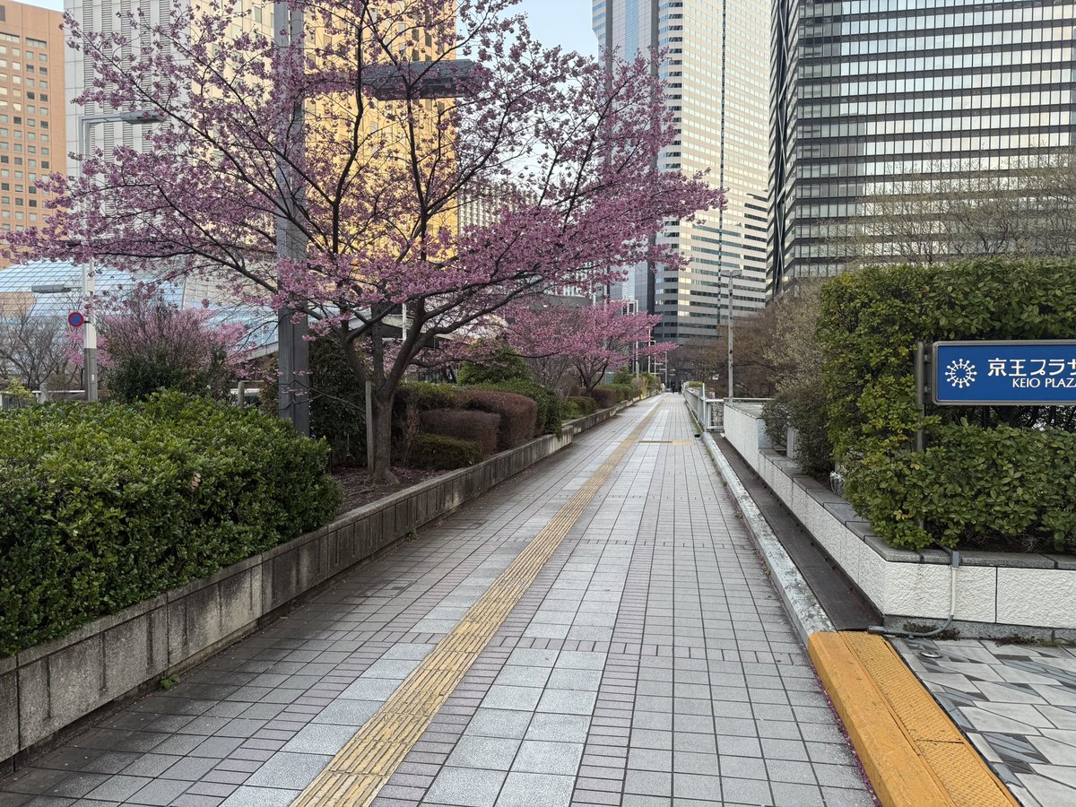 Raj Giri tweet media