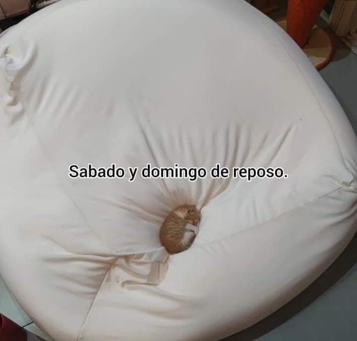 Salvador Iglesias Jr (@javisness) on Twitter photo 