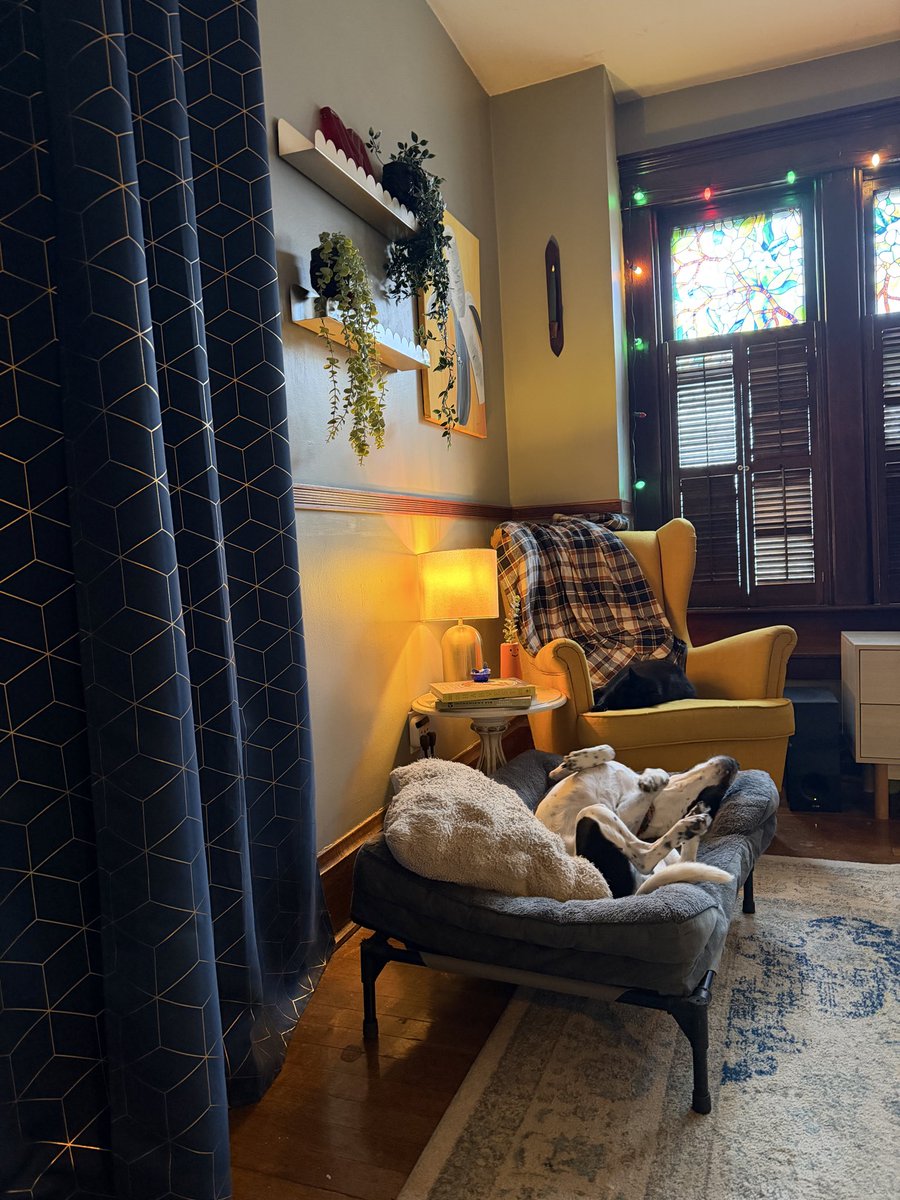 Mr. Vibes tweet media