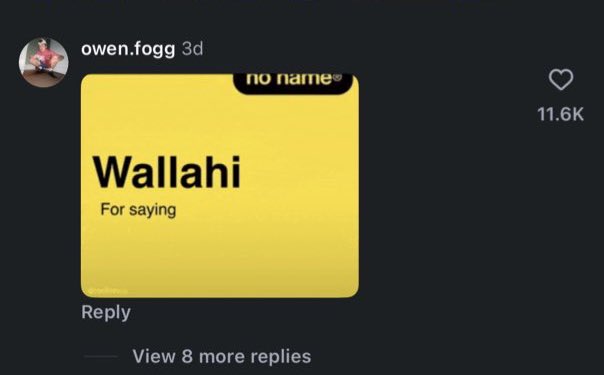 tagmedev's tweet photo. going beyond viral now

speed using it IRL again
crazy $wallahi vids across MULTIPLE edited sounds

this just getting started

say wallahi 💔💔 https://t.co/EWxzq1oIlN