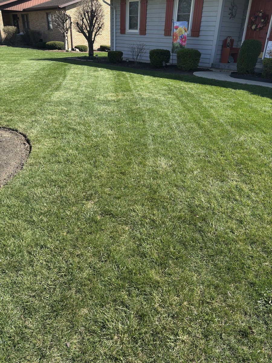 Tom Brunswick tweet media