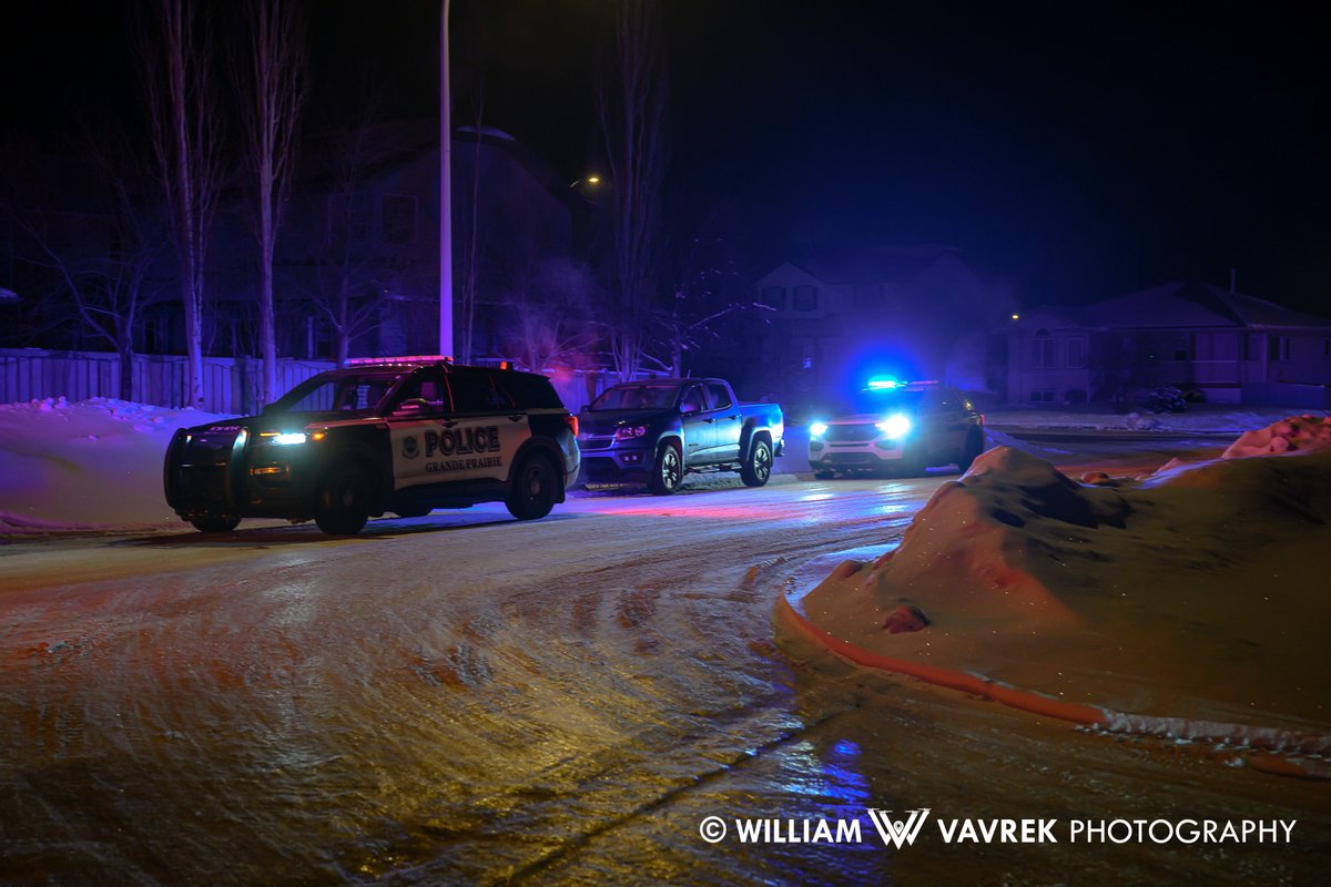 William Vavrek tweet media