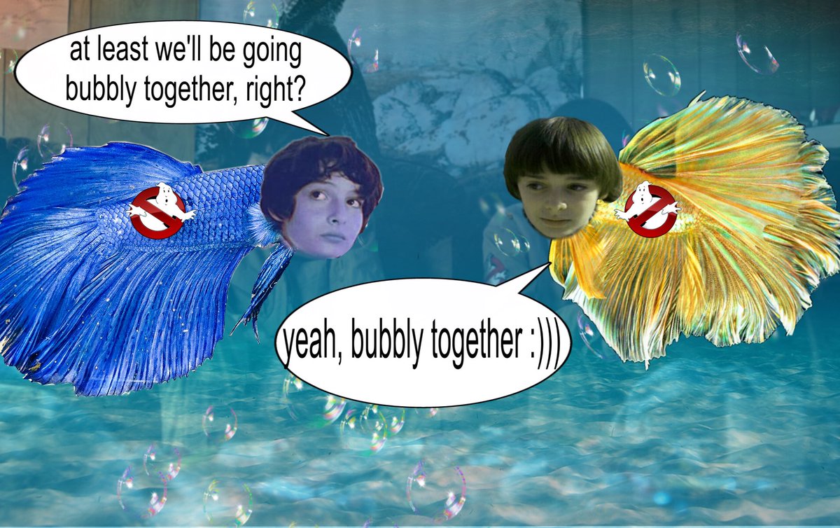 muddy🐠⋆.˚ | bubblernation ceo 🫧 tweet media