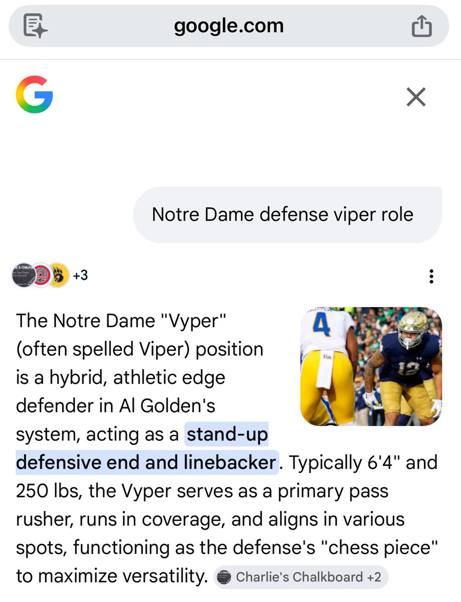 The wanderer tweet media