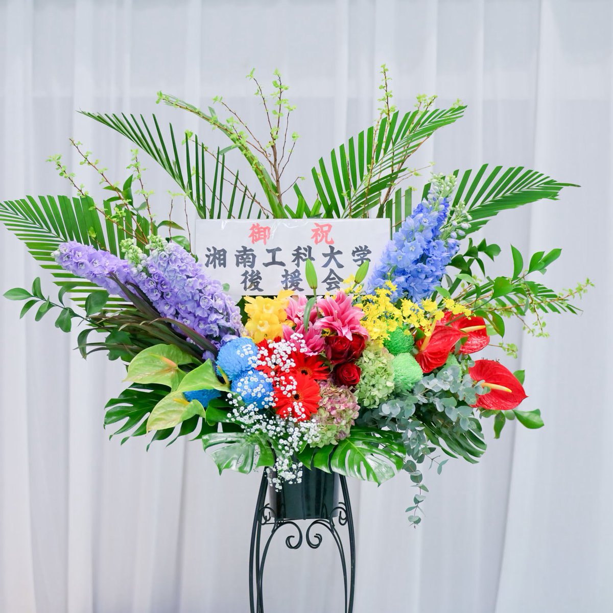 SIT_Pa_As's tweet photo. 3月20日の学位記授与式に後援会として参列いたしました。厳かな雰囲気の中、式典や記念パーティで4年間の学びと経験を糧に大きく成長した皆さんの姿を拝見し、深い感慨を覚えました。
​卒業生の皆さま、ご卒業おめでとうございます。これからの新しい門出とご活躍を心よりお祈り申し上げます。 https://t.co/k0Vklna4eA
