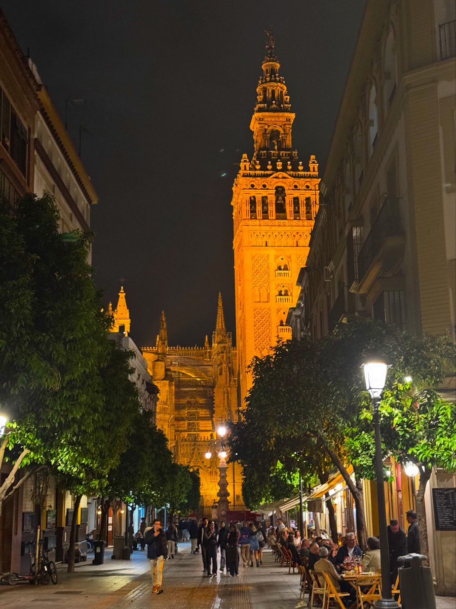 Clare Delmar tweet media