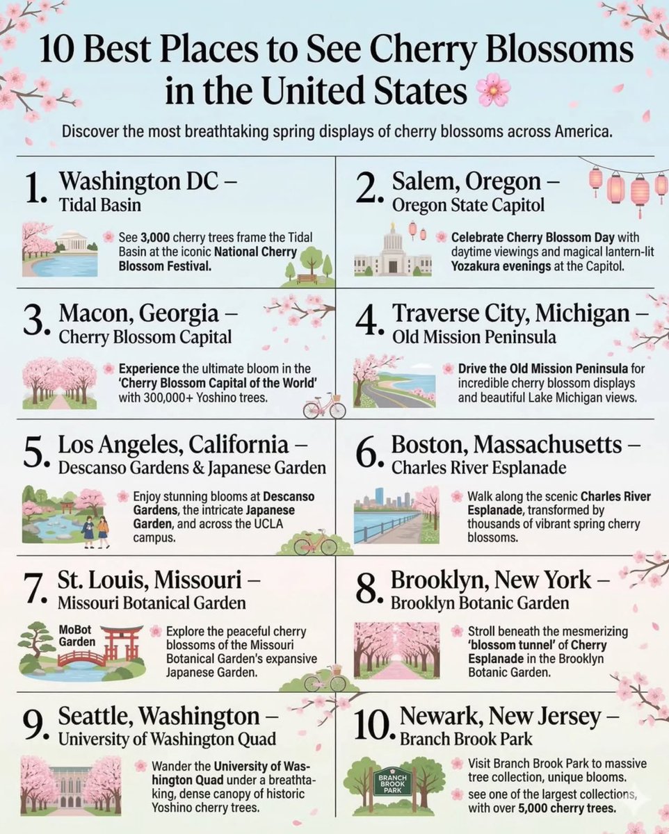 Elle Lookbook tweet media