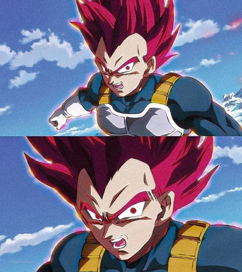 Dragon Ball Daily tweet media