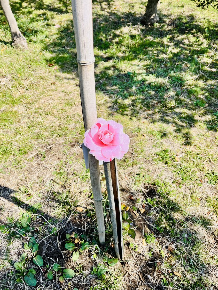 Yu Yamada tweet media