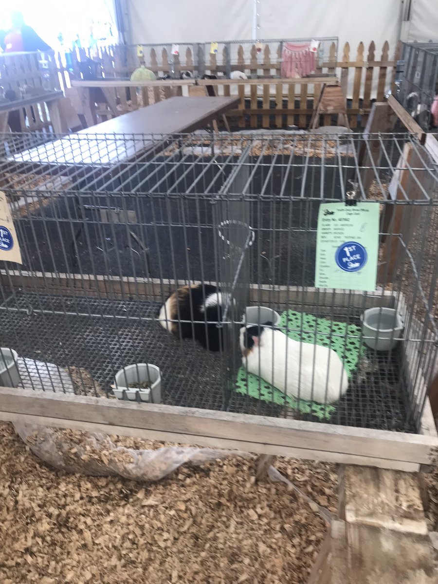 androidvr tweet media