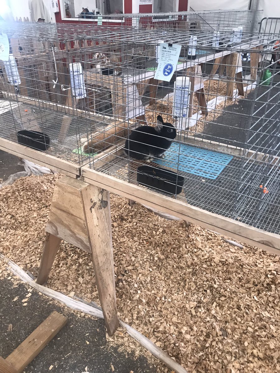 androidvr tweet media