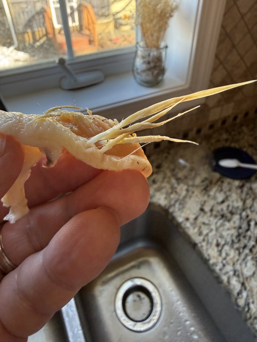 jeff willett tweet media