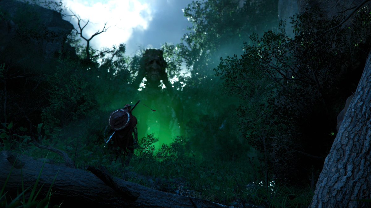 Lorenzo Grajales tweet media