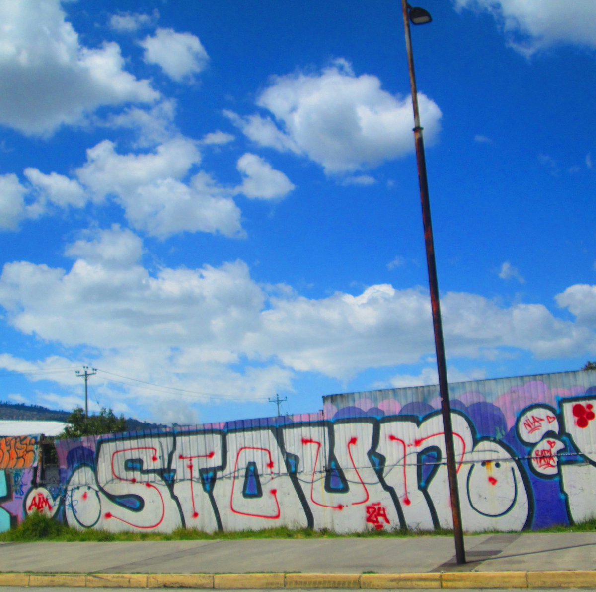 ECStreetGallery's tweet photo. ππ΄π₯
π£
.
.
#graffitiecuador #streetphotography #streetartecuador #graffitiquito #ecuadorgraffiti #grafffunk #graffitistyle #arteurbano #urbanart #graffitifiles #girlspower #quitocalle #postgraffiti #ElNuevoEcuadorNoSeDetiene #bombing π https://t.co/O0oIYPg4gO