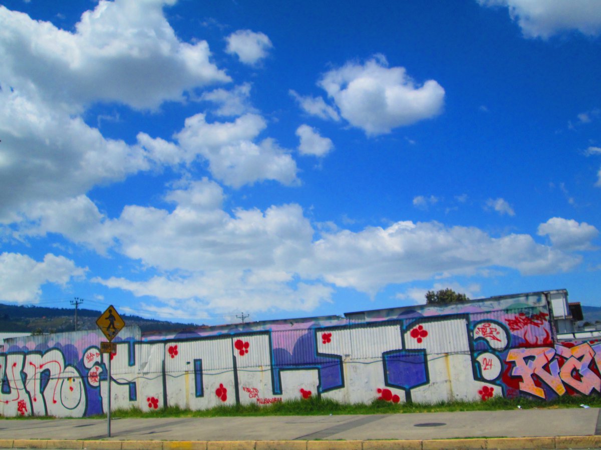 ECStreetGallery's tweet photo. ππ΄π₯
π£
.
.
#graffitiecuador #streetphotography #streetartecuador #graffitiquito #ecuadorgraffiti #grafffunk #graffitistyle #arteurbano #urbanart #graffitifiles #girlspower #quitocalle #postgraffiti #ElNuevoEcuadorNoSeDetiene #bombing π https://t.co/O0oIYPg4gO