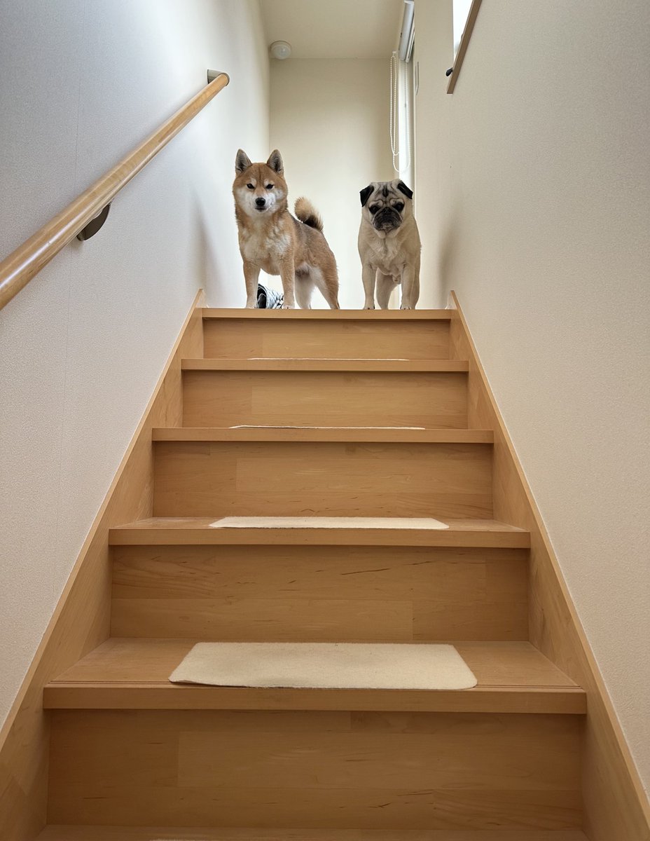 きたむら tweet media