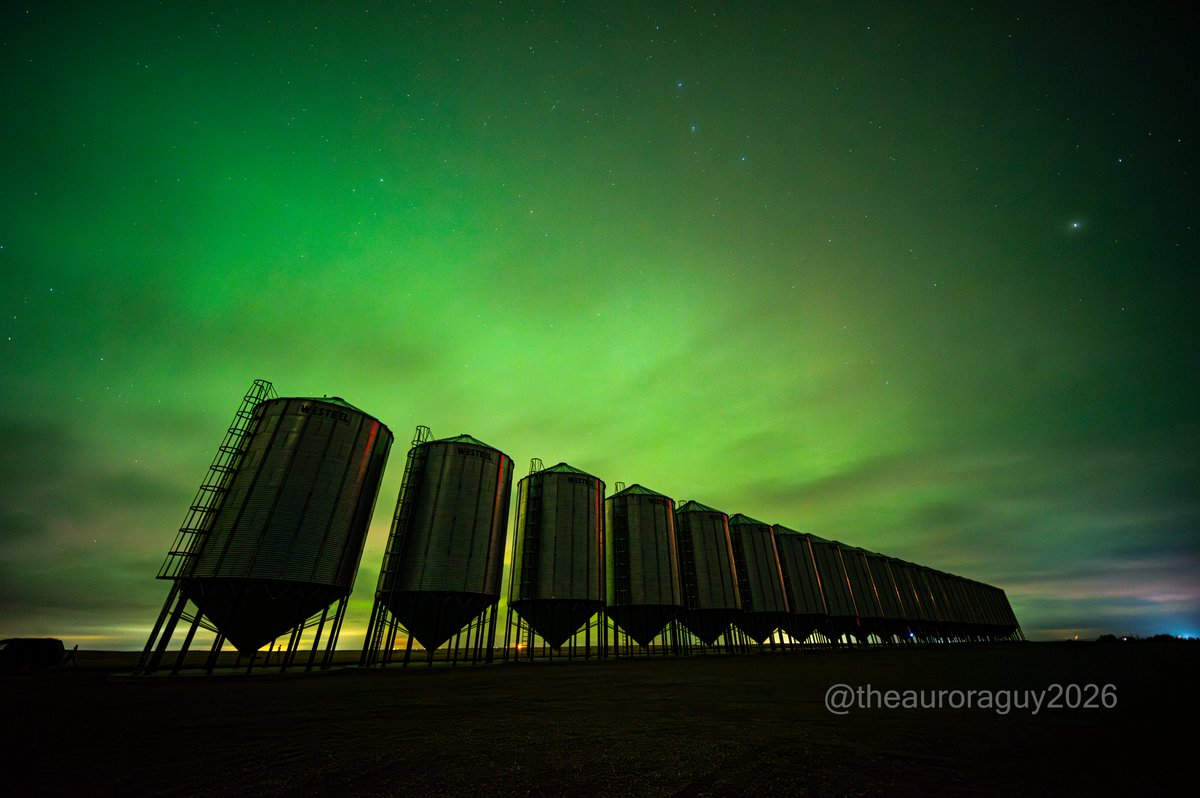 Harlan Thomas tweet media