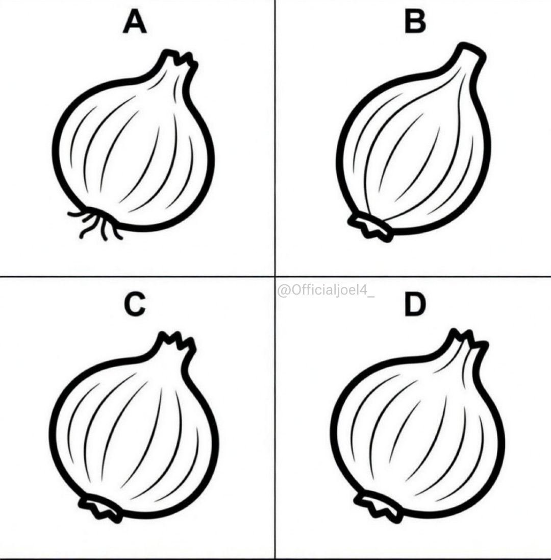 Jewel 🌗 tweet media