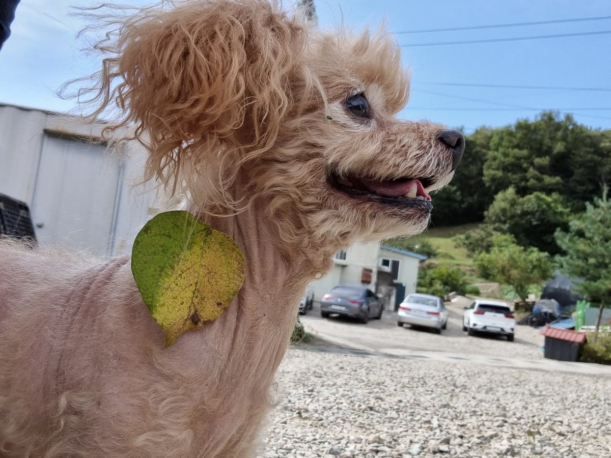 도레기 / 블ㅅ 맛ㄷ: 아이디 바이오에 tweet media