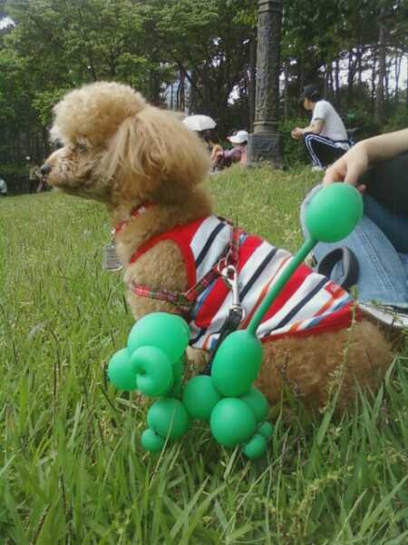 도레기 / 블ㅅ 맛ㄷ: 아이디 바이오에 tweet media