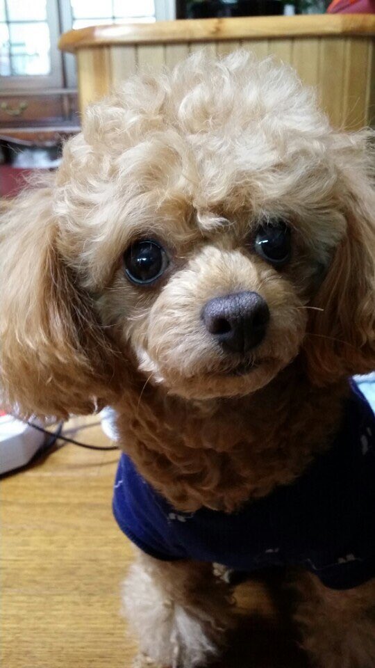 도레기 / 블ㅅ 맛ㄷ: 아이디 바이오에 tweet media