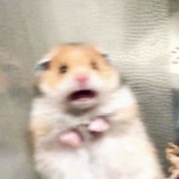 Kirby‼️ Cmms open ! tweet media