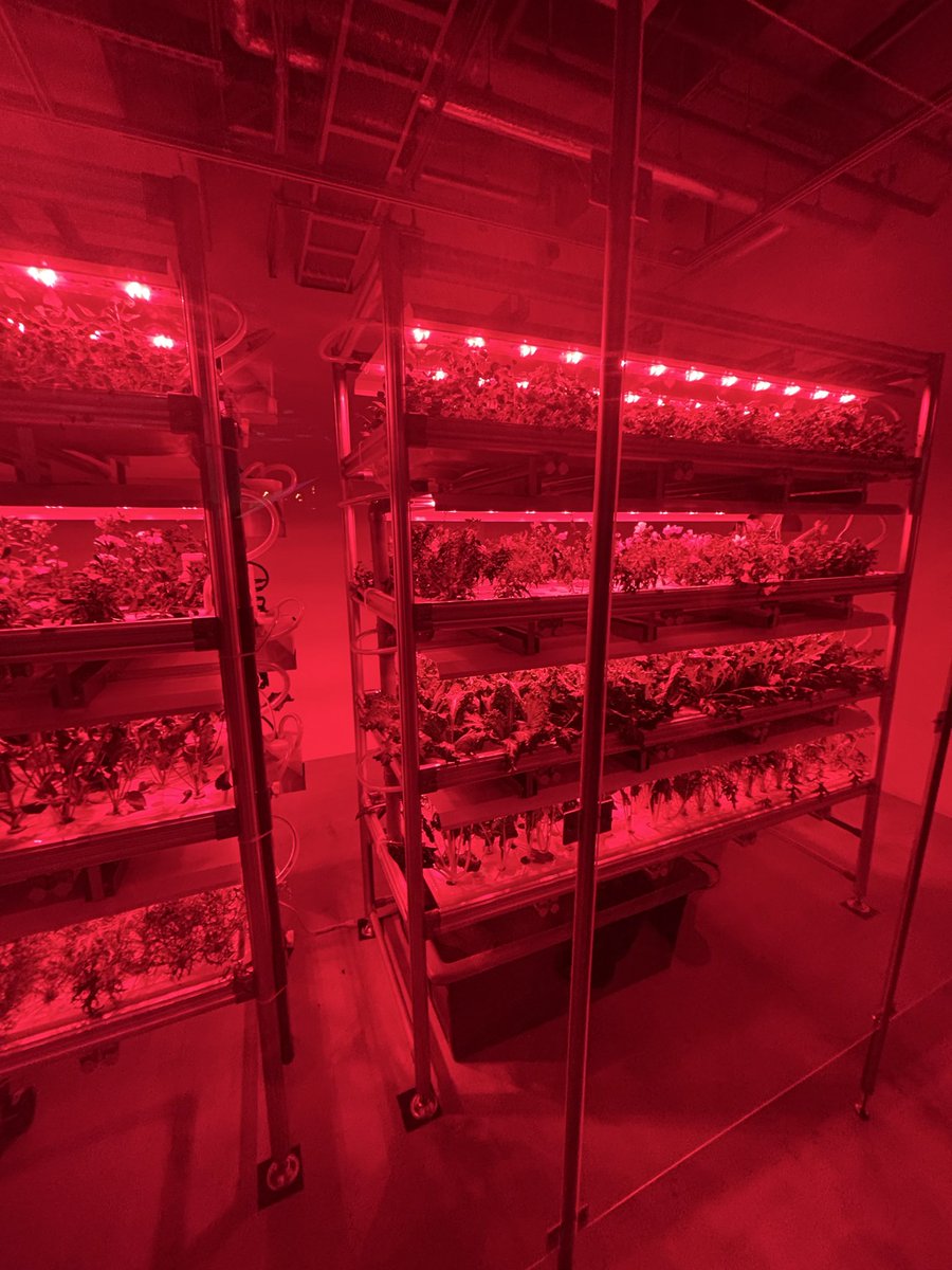 っょuwu tweet media