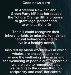 RealEstateCOO's tweet photo. AI personhood debates often start from the wrong premise: that personhood is something humans bestow once intelligence becomes sufficiently human-like. We can look at the idea of whale personhood, which points to something more profound. https://t.co/yFFknBXVCe