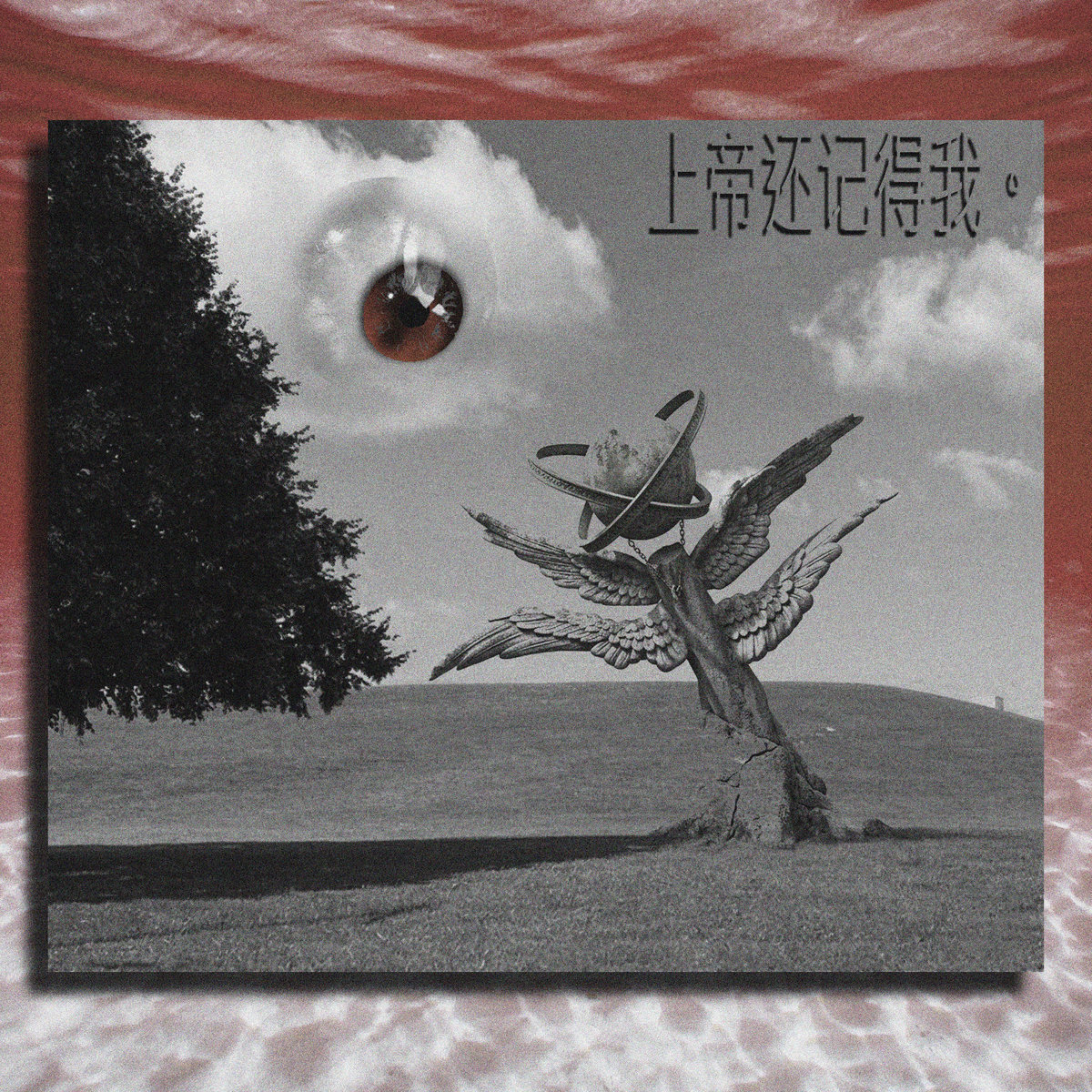 ECCO 深い夢 tweet media