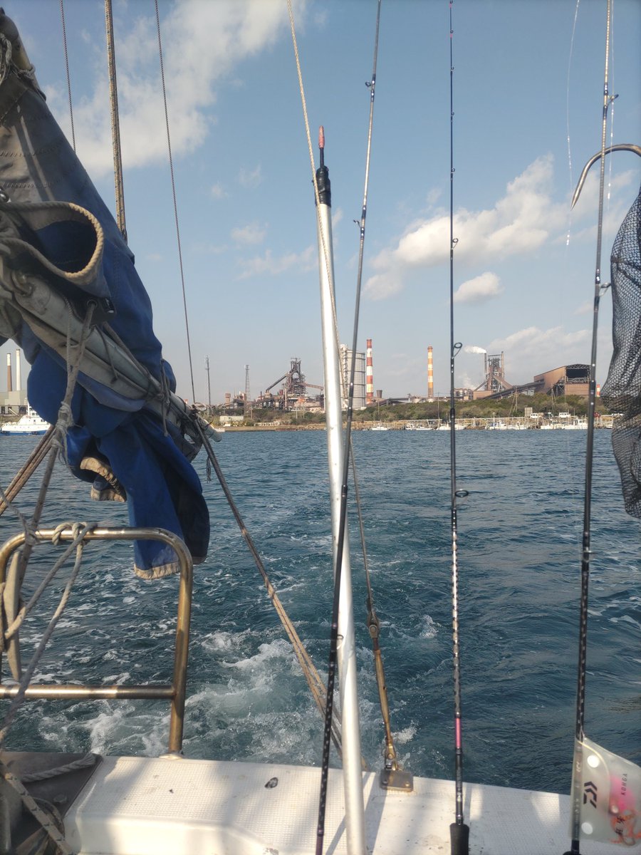 てんこ tweet media