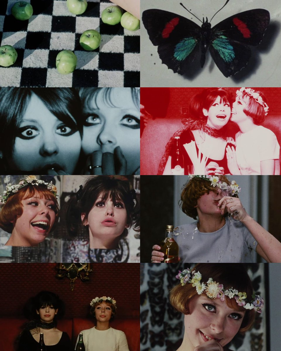 CINEMA 505 tweet media