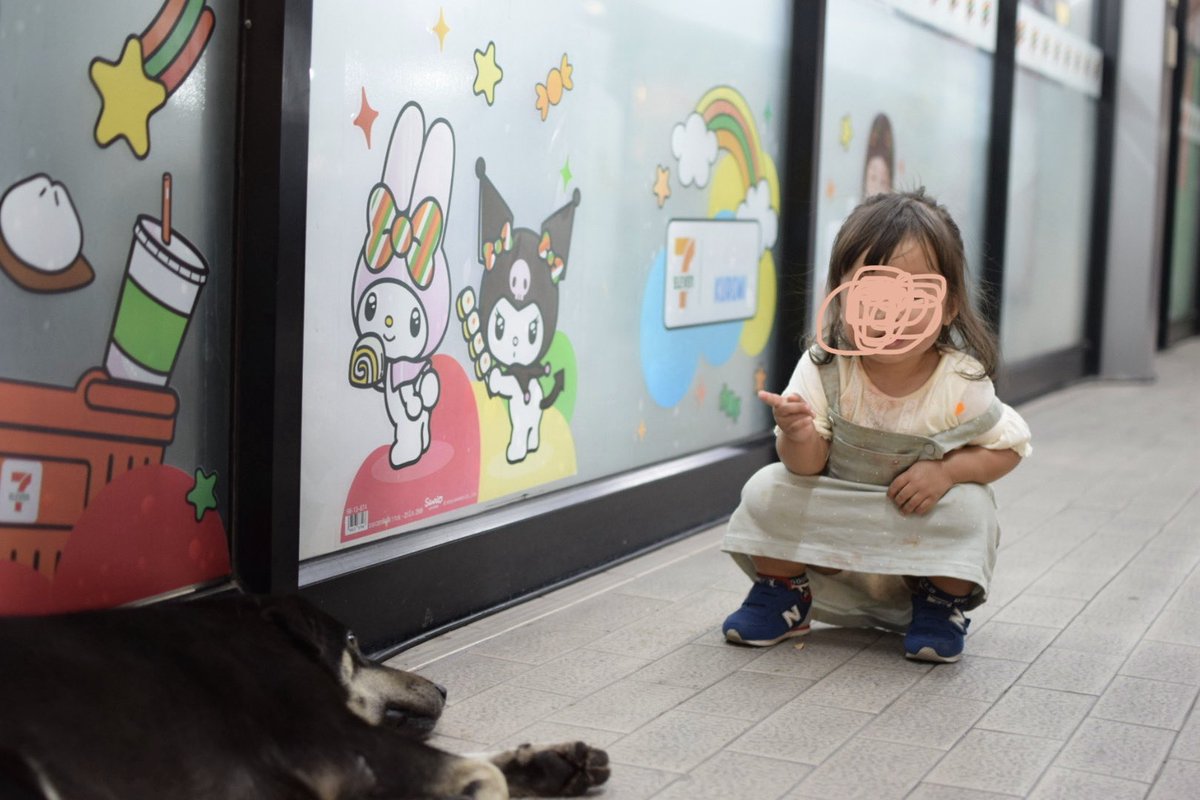 ぬい｜Webデザイナー tweet media