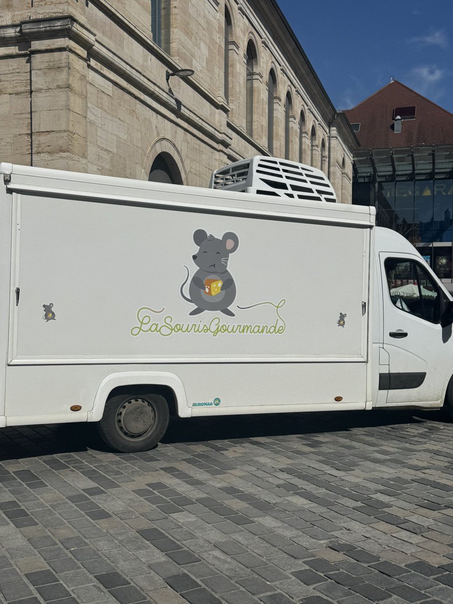 a bunch of rats✨ tweet media