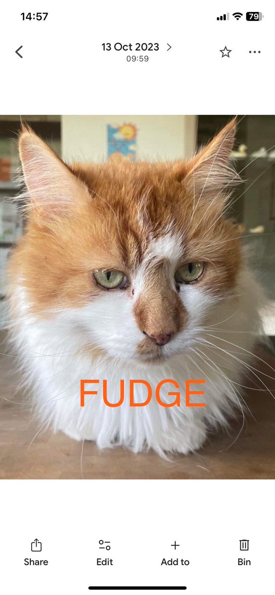 Karen Hall tweet media