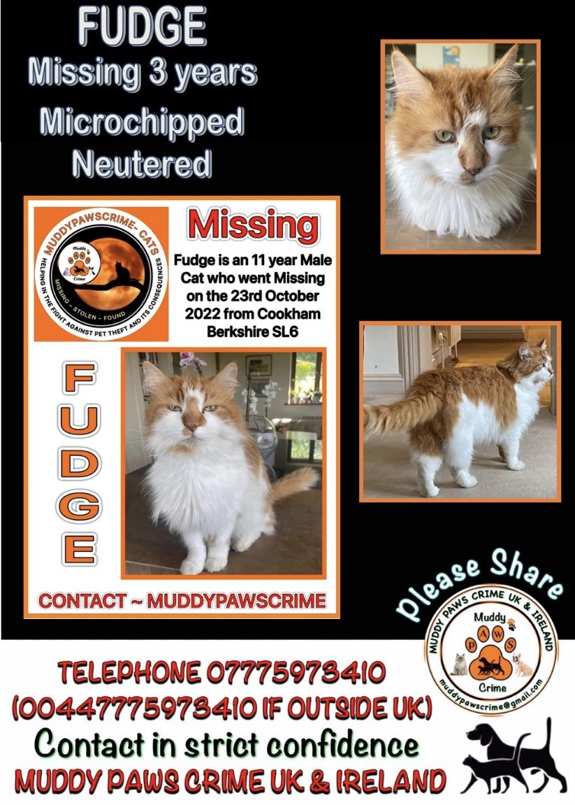 Karen Hall tweet media