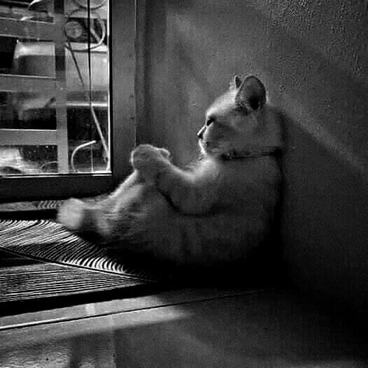 Clov! 🍉 tweet media