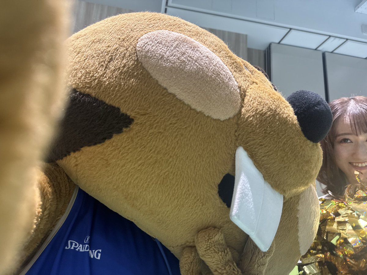 【公式】クイッキー・デッチ tweet media