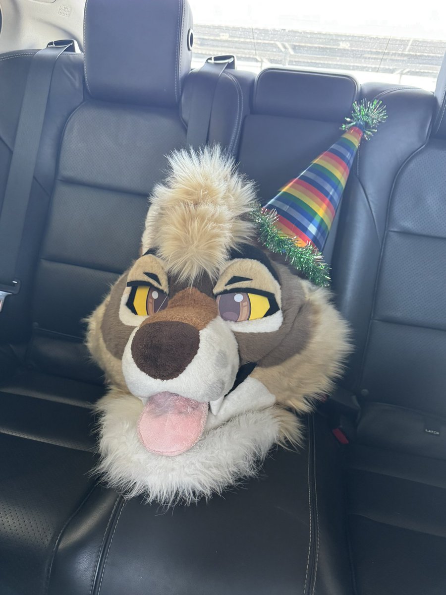 Cedar ✨🌵 tweet media