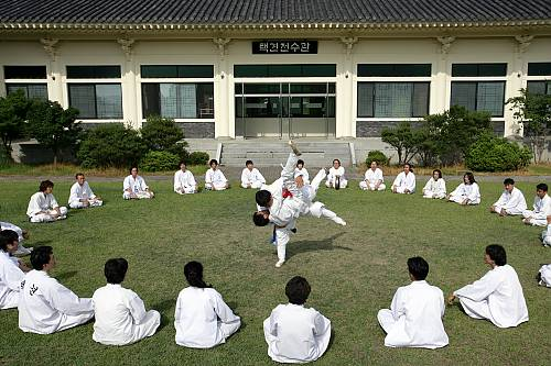 Patrimonio inmaterial de la Unesco:

Taekkyeon, arte marcial tradicional coreano (Corea del Sur).

ich.unesco.org/en/RL/taekkyeo…