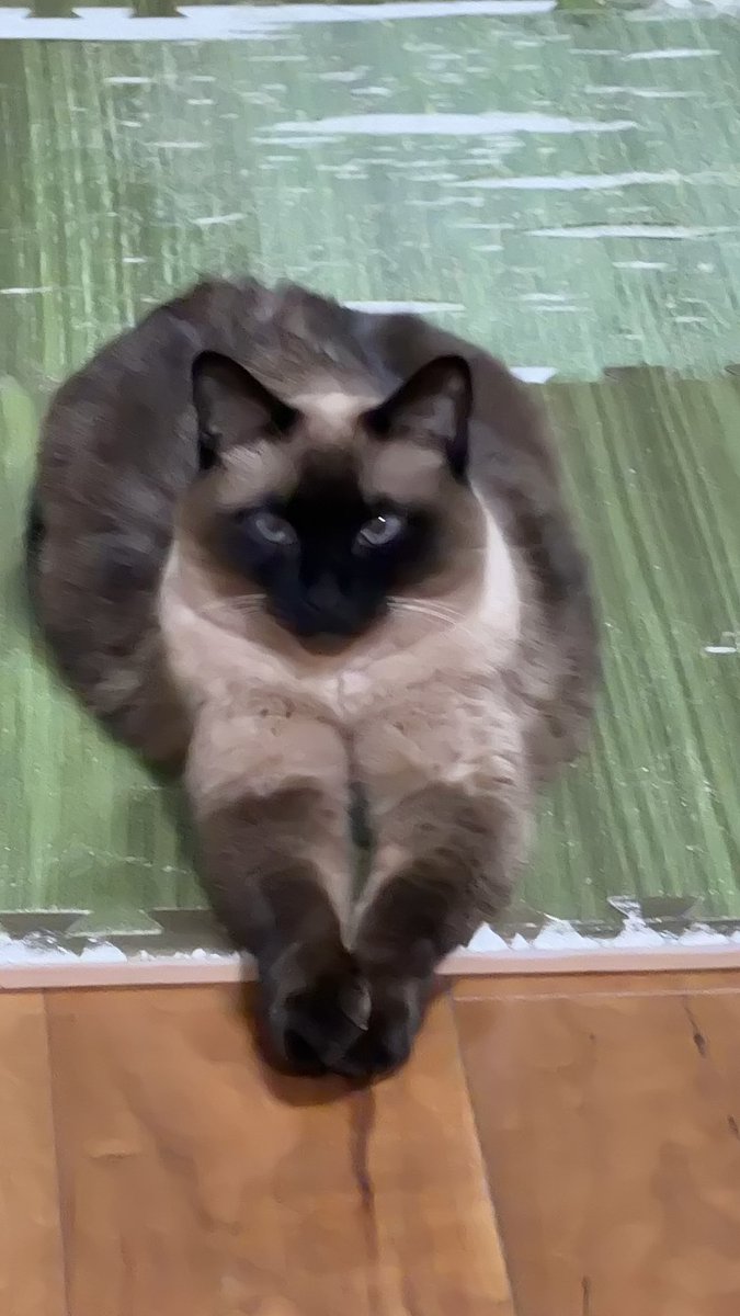 ふくふくさん tweet media