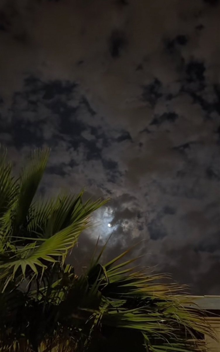 ABU NOOR 💫✨ tweet media