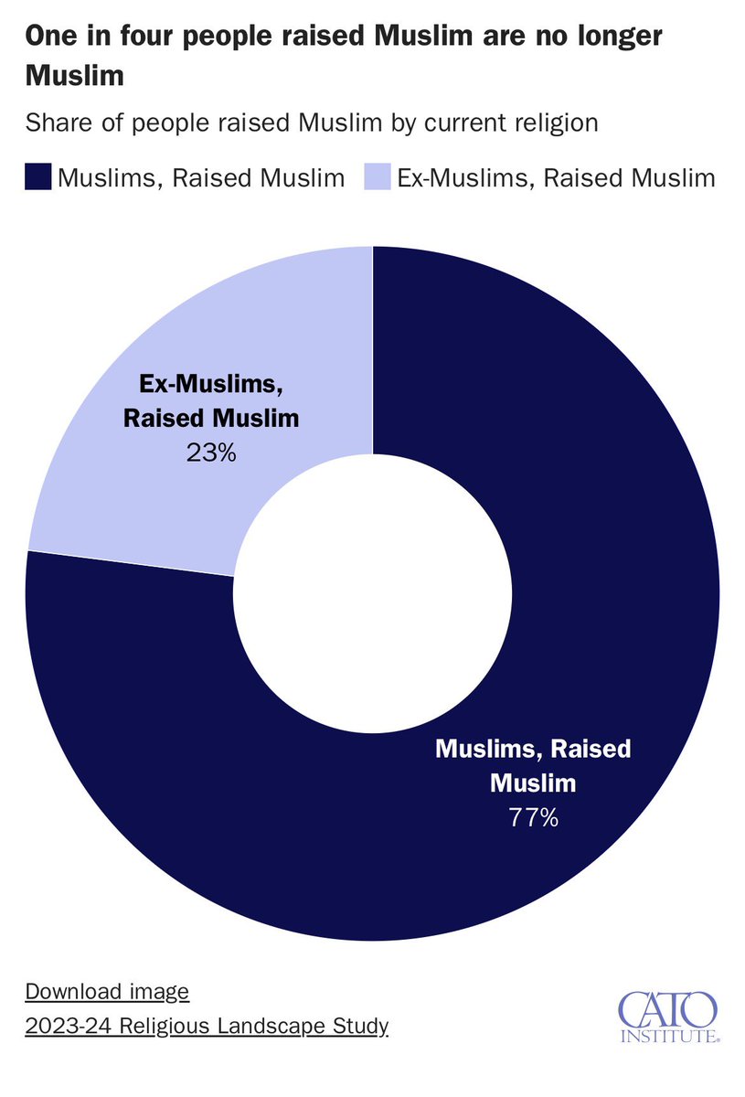 notsoErudite tweet media