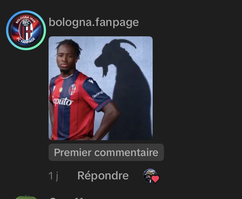 🇲🇦 tweet media