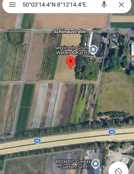 Bieno Chrupalla 🐝 tweet media