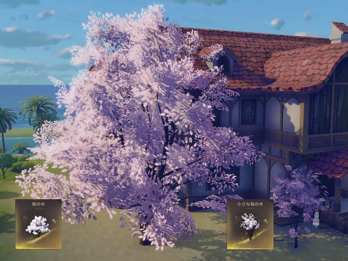桜の木 ショップで買える桜の木2種類のサイズ比較 でかすぎ・・(;ﾟωﾟ