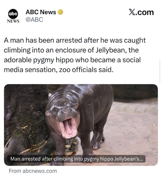 Damn heard some crazy news today… 

$JELLYBEAN

wwzqJcBxRUDfSZQQv3R4WckkNzpSFjNHkRuzZFcJJZt